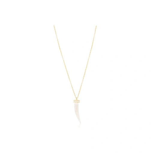 GARGANTILHA COM DENTE DE SABRE