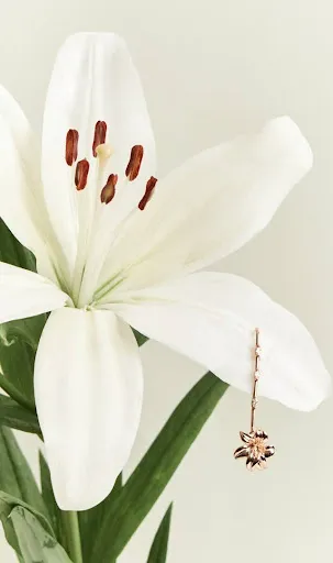Coleção Lis: inspirada na clássica flor-de-lis