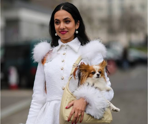 Coleção Céline: inspirada na Semana da Moda de Paris