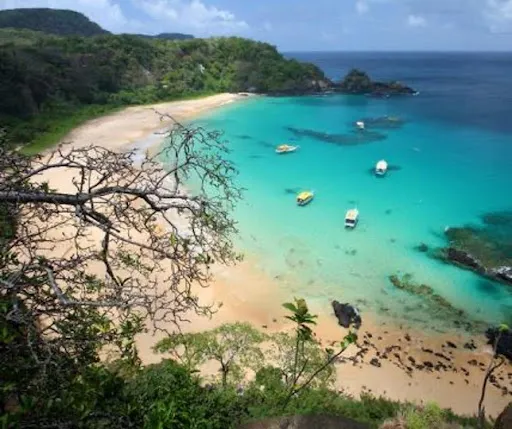 Coleção Araúna: uma ode à beleza dos rios e lagoas