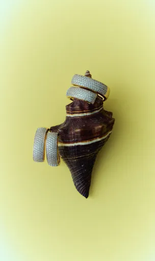 Coleção Flua: o movimento que transforma a beleza em novas formas