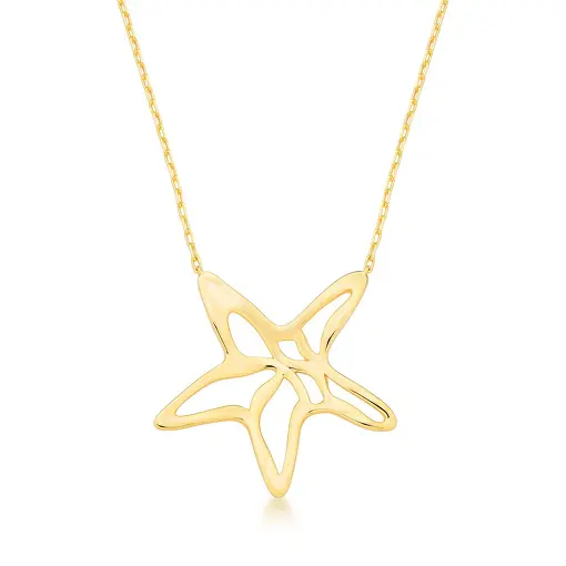 COLAR COM PINGENTE DE ESTRELA DO MAR VAZADO CURVO