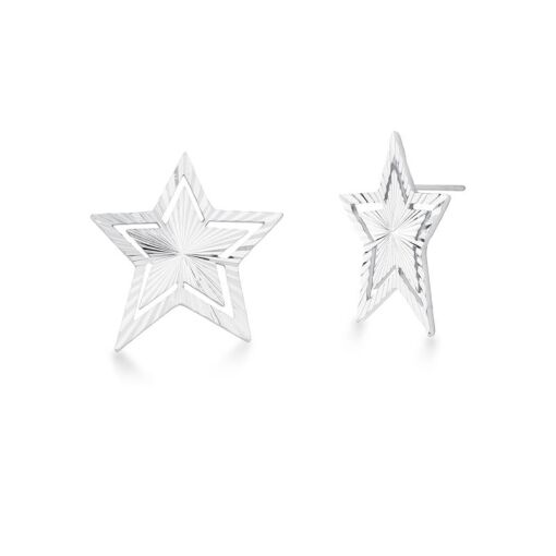BRINCO DE ESTRELA TEXTURIZADO LISO