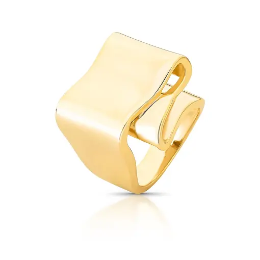 ANEL ESPIRAL CURVO E LISO