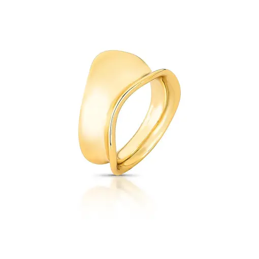 ANEL TRABALHADO LISO E CURVO