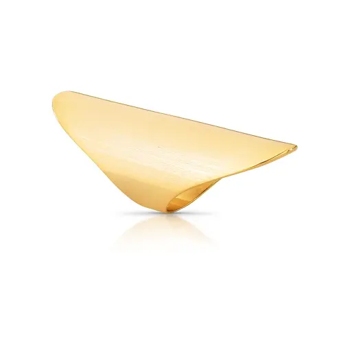 ANEL OVAL CURVO LISO