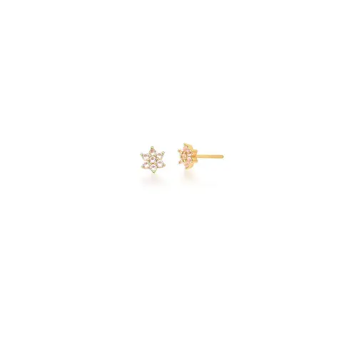BRINCO DE FLOR CRAVEJADO DE ZIRCÔNIAS BANHADO A OURO