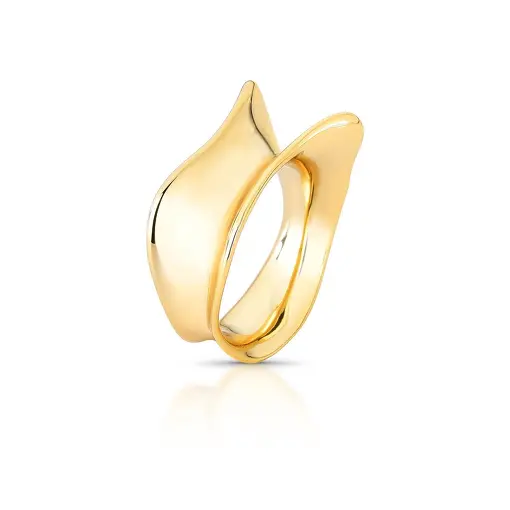 ANEL TRABALHADO LISO E CURVO